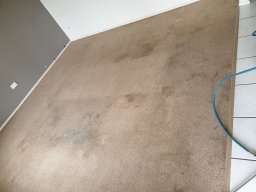 carpet cleaning before 1